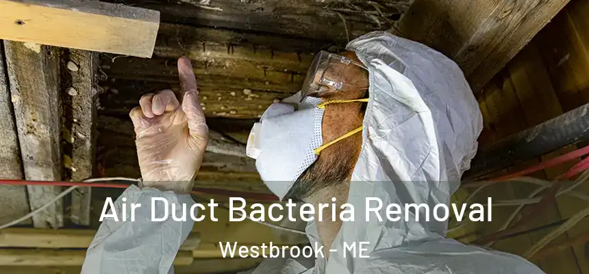  Air Duct Bacteria Removal Westbrook - ME
