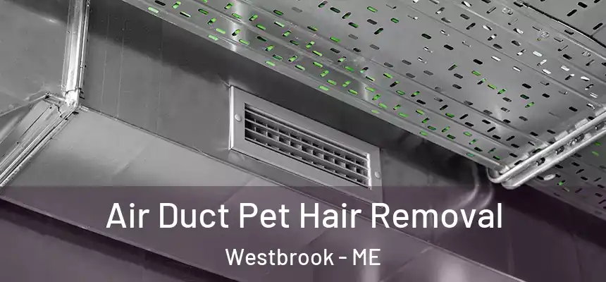  Air Duct Pet Hair Removal Westbrook - ME