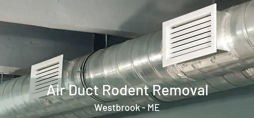  Air Duct Rodent Removal Westbrook - ME