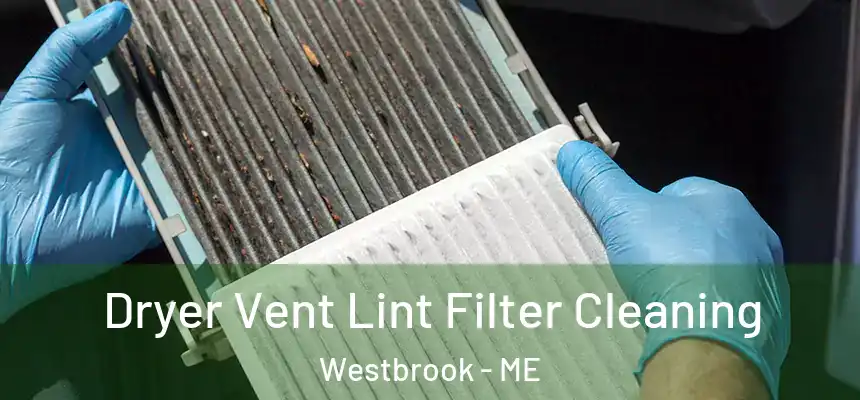  Dryer Vent Lint Filter Cleaning Westbrook - ME