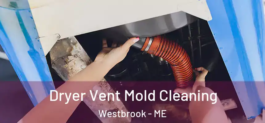  Dryer Vent Mold Cleaning Westbrook - ME