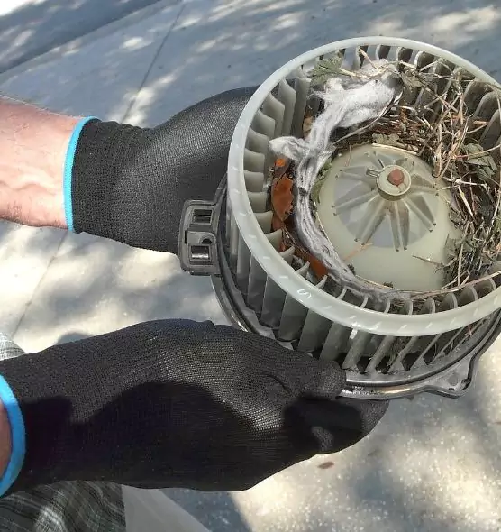 About Air Duct Mice Removal in Westbrook, ME