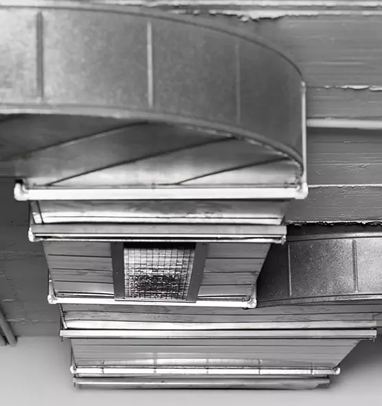 Professional Air Duct Pest Removal in Westbrook, ME